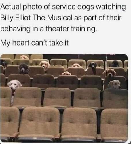 FB_IMG_1618792272763