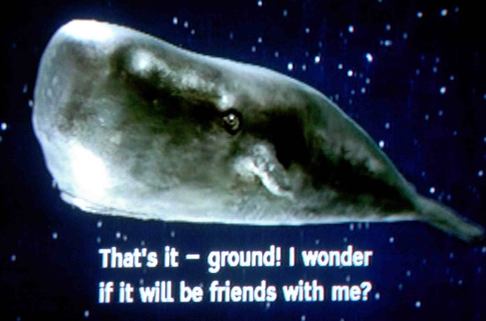 8-whale
