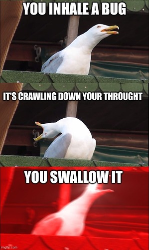 inhaling pigeon bug