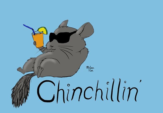 Chinchilla Chinchilling
