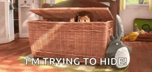 hide-hide-and-seek-4181183250