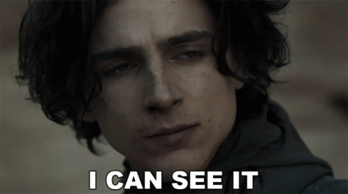 I Can See It Timothee Chalamet GIF - I Can See It Timothee Chalamet ...