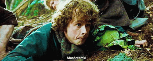 Mushrooms Pippin GIF - Mushrooms Pippin Lotr - GIFs entdecken und teilen