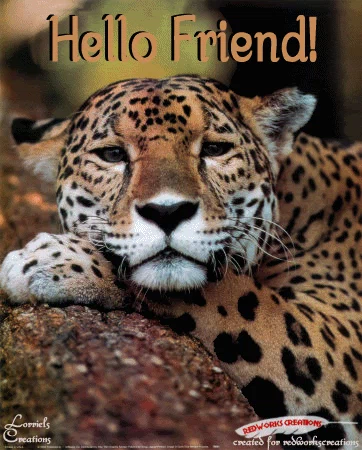 jaguar GIF