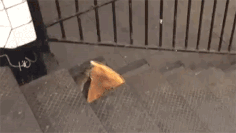 pizza-rat1-3138961953
