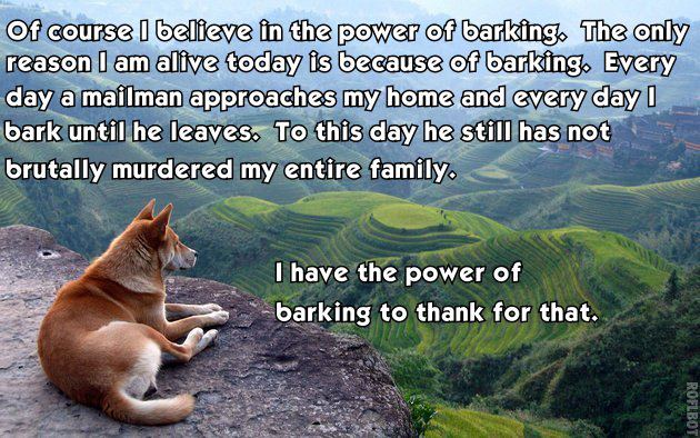 Doggo - Power of Barking