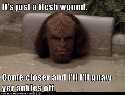 closer-flesh-wound-invincible-michael-dorn-monty-python-and-the-holy-star-trek-tng-worf-5694573568