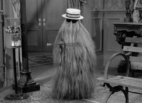 Cousin Itt GIF - Cousin Itt Cousinitt - Discover & Share GIFs | Addams family tv show, Cousin it adams family, Adams family