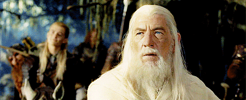 Lord Of The Rings Hobbits GIF - Find & Share on GIPHY