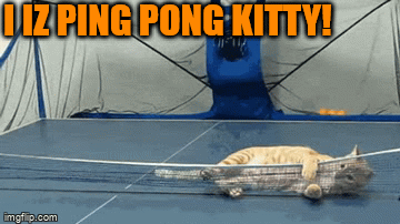 Ping Pong - Imgflip