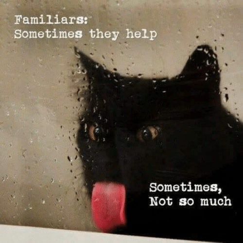 Cat, Familiars, Melm, Likcing Glass