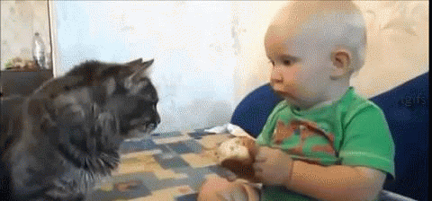 cute-baby-sharing-food-cat-8lo8-ytgifs-o48958-4060959528