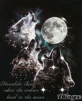 wolves howl tonight | Three wolf moon, Wolf moon, Wolf howling