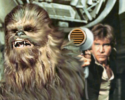 Star-Wars-Funny-Gifs-Solo-and-Wookie