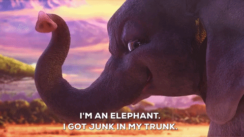 Junk In The Trunk GIFs - Get the best GIF on GIPHY