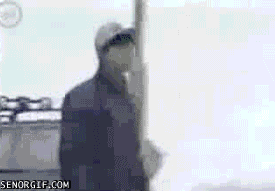 Snowball GIF - Find & Share on GIPHY