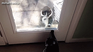 Door GIF - Find & Share on GIPHY