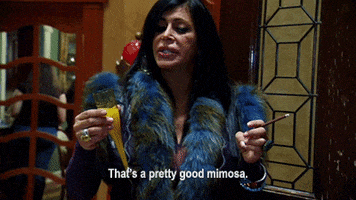 Mimosa GIFs - Find & Share on GIPHY