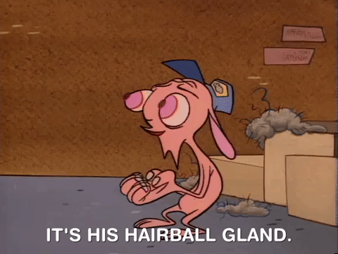 Ren And Stimpy Nicksplat GIF - Find & Share on GIPHY