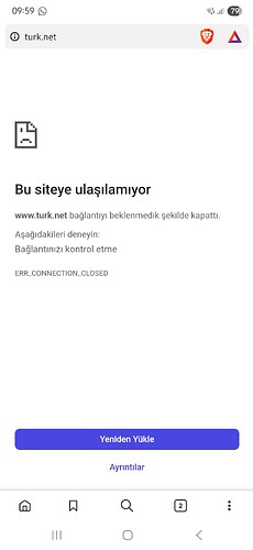 Screenshot_20250703_095934_Brave