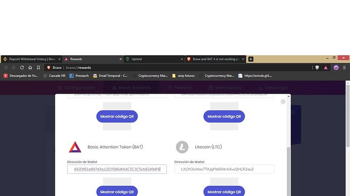 2bravebrowser