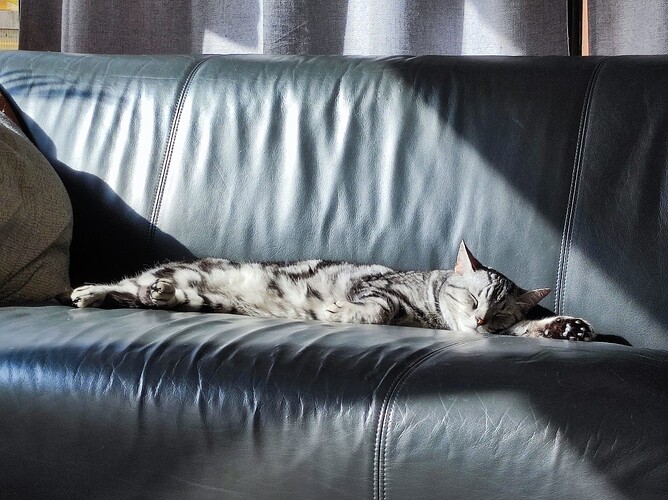 Söhni auf dem Sofa