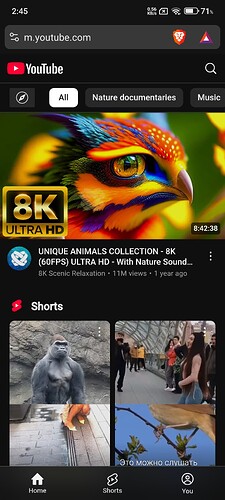 Screenshot_2025-06-12-02-45-02-902_com.brave.browser