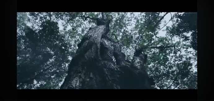 Screenshot_20250612-210521_Brave
