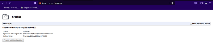 Brave_Crashes_20250724_1