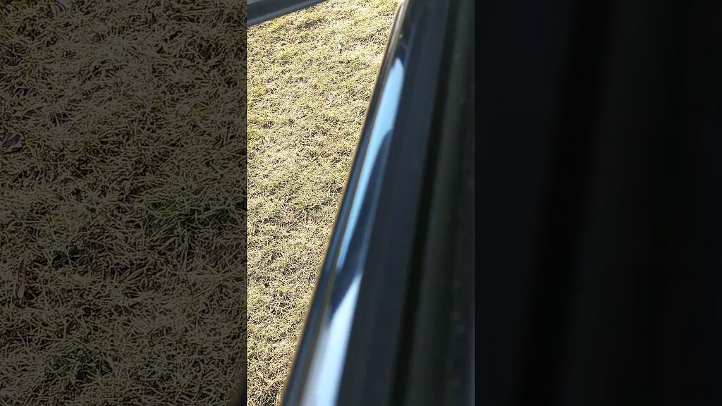 Whining Sound When Pressing Accelerator Pedal Down Maintenance