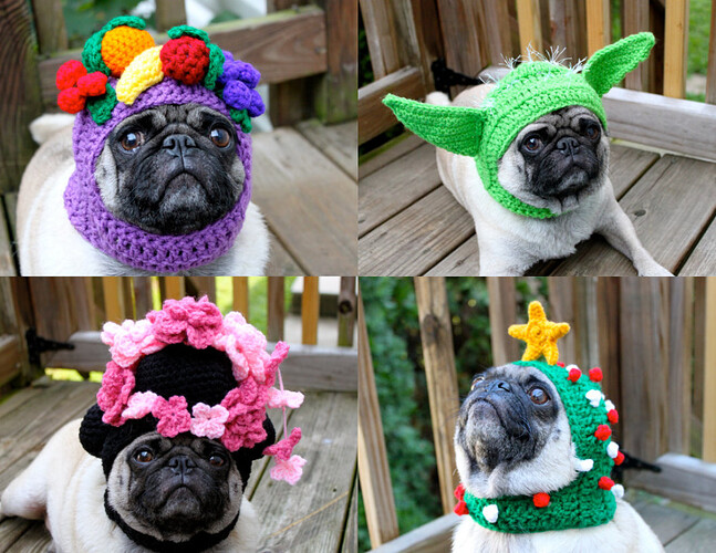 pug hats 640