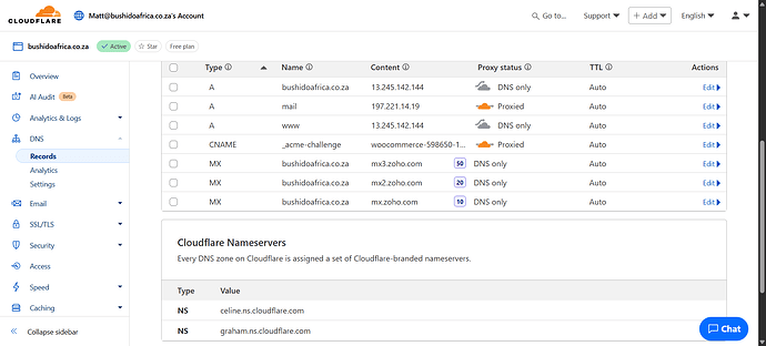 DNS-Records-bushidoafrica-co-za-Matt-bushidoafrica-co-za-s-Account-Cloudflare-05-12-2025_10_22_AM.png