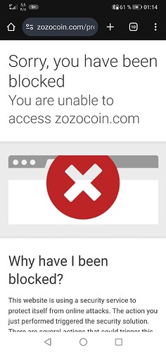 Screenshot_20250617_011433_com.android.chrome.jpg