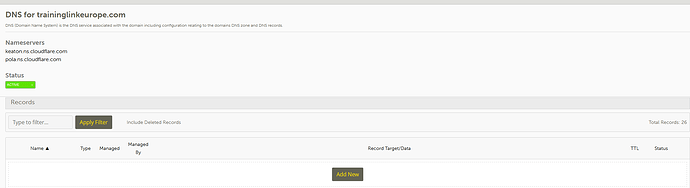 screenshot DNS.png