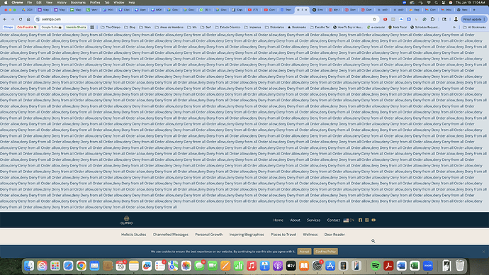 Screenshot 2025-06-19 at 11.04.54 AM.png