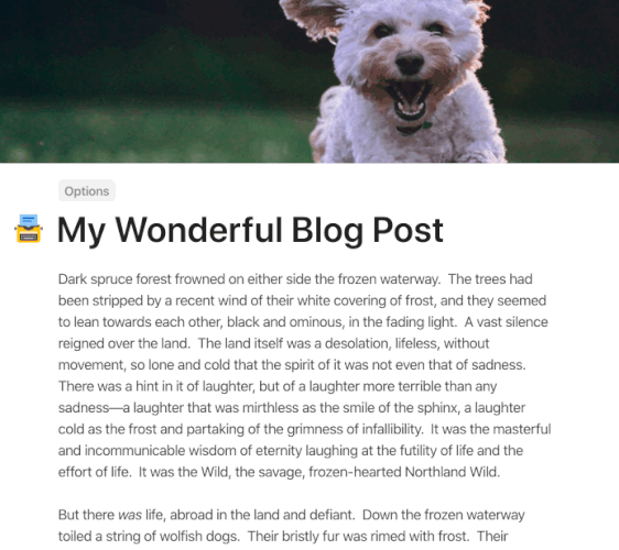 Screen Recording 2020-03-19 at 08.05 PM