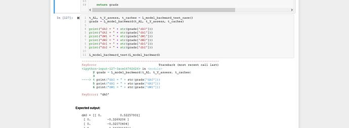 L model backward error