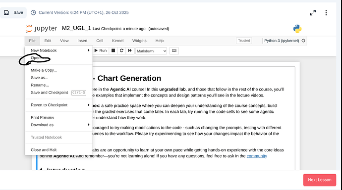 Screenshot 2025-10-30 4.25.15 AM