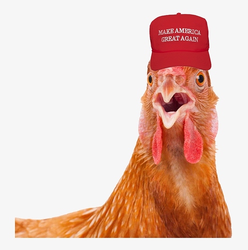 543-5431560_2mib-840x768-rooster-with-maga-hat-moreconsole-chicken (1)