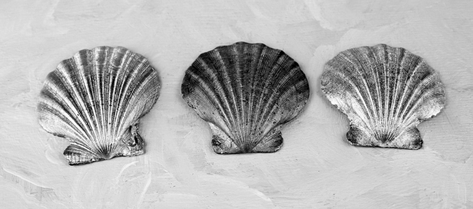 Three-Seashells