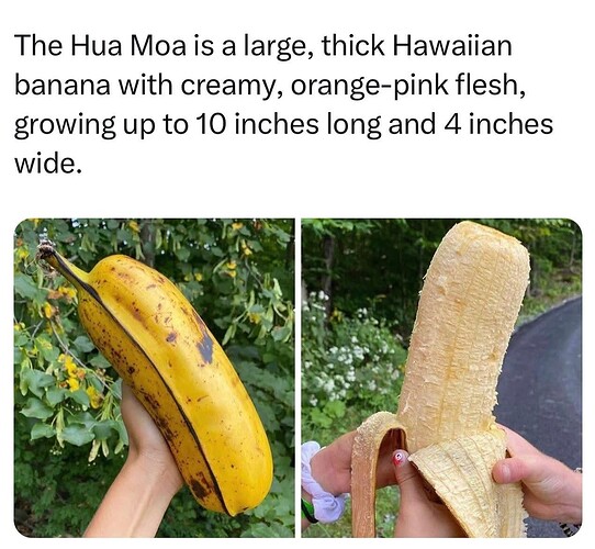 1000006695