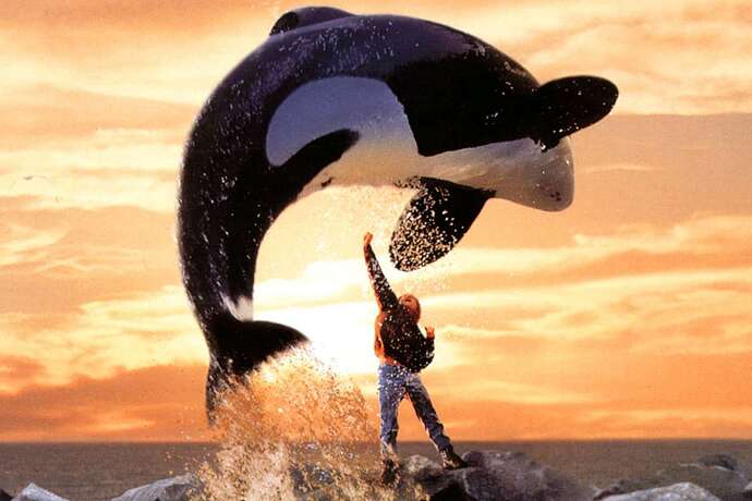 free-willy-071323-0854a37cf64d4879a9757601e2986211