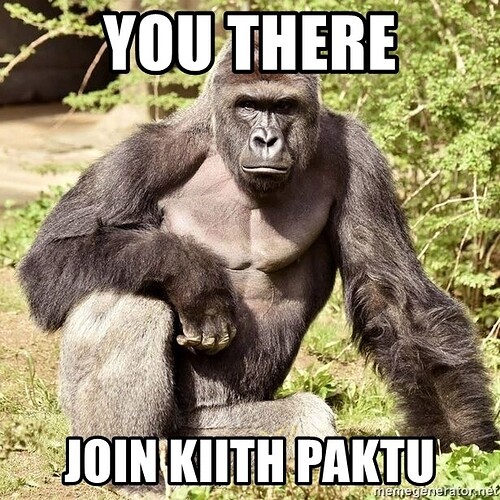 you-there-join-kiith-paktu