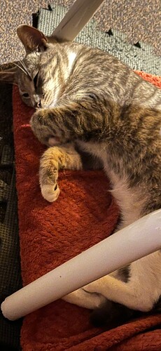 IMG_9335