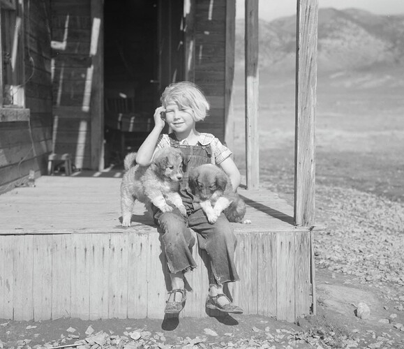 Daughter of farmer living in Resettlement Administration purchase area Oneida County Idaho May 1936