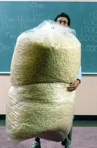 popcornhugebags