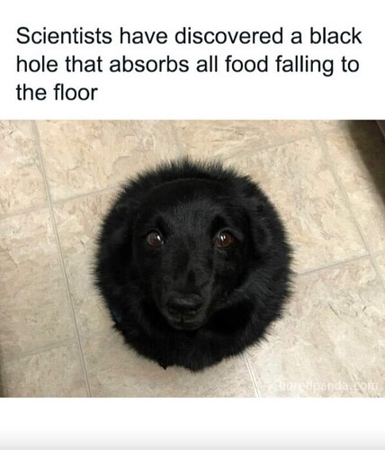 1000005985
