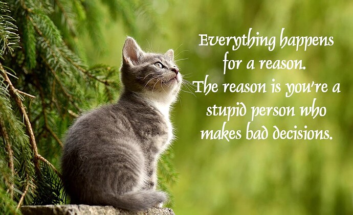 motivational kitten