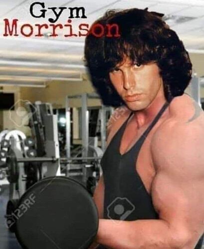gym morrison