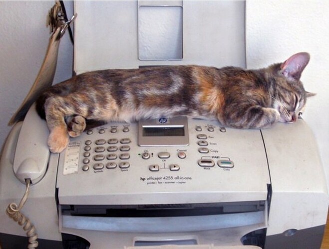 Gato sobre un fax